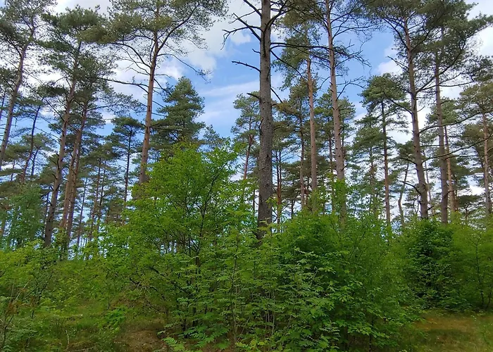 4 Person In Oksbol-by Traum * Oksbøl