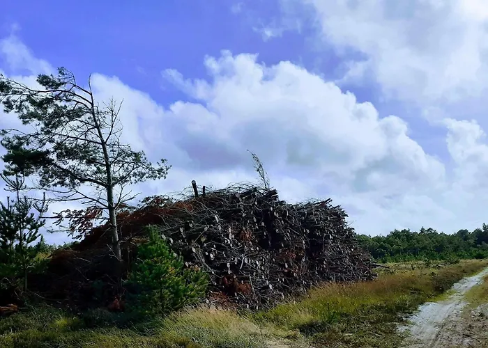 4 Person In Oksbol-by Traum Nyaraló