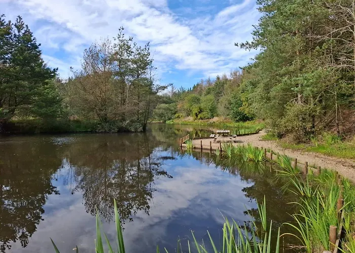 4 Person In Oksbol-by Traum *