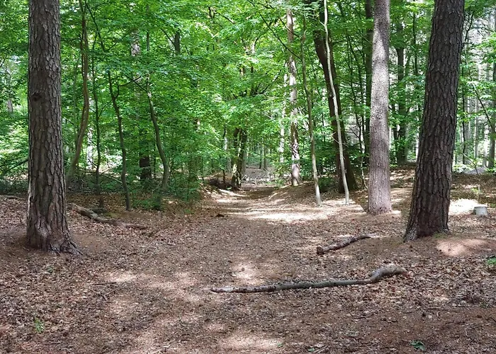 4 Person In Oksbol-by Traum